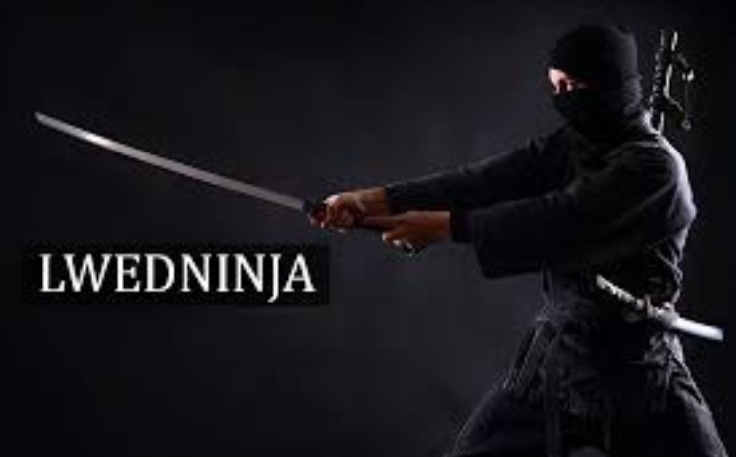 What is lwedninja